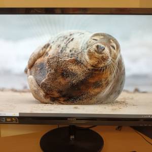 27寸Philips全高清（16：9）電腦螢幕顯示器