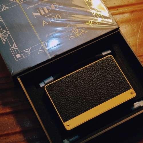Nipo A100 dac amp