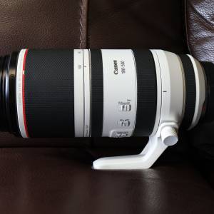 放Canon RF100-500