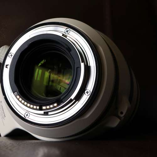 放Canon RF100-500