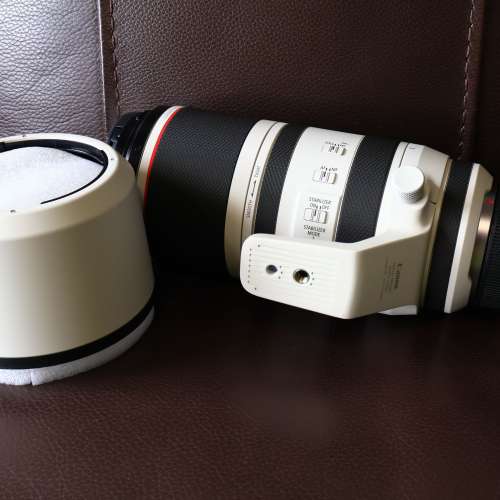 放Canon RF100-500