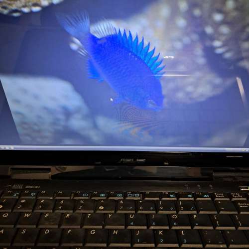 ASUS 手提電腦