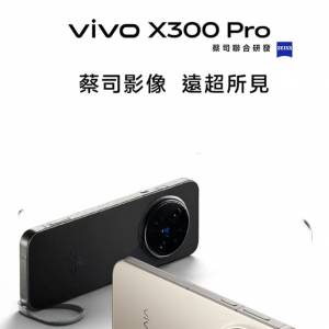 vivo x300 pro沙丘棕16GB+512GB
