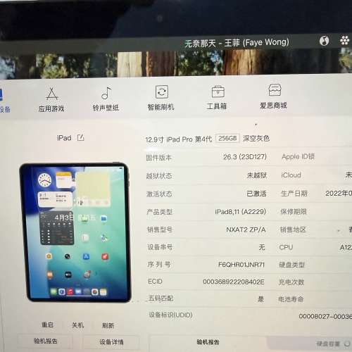 大機iPad Pro (12.9  吋)（第四代 ）256gb,電池健康度87，所有功能正常！