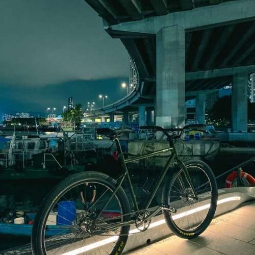 日版Tern Grit (單速車 not fixed gear)