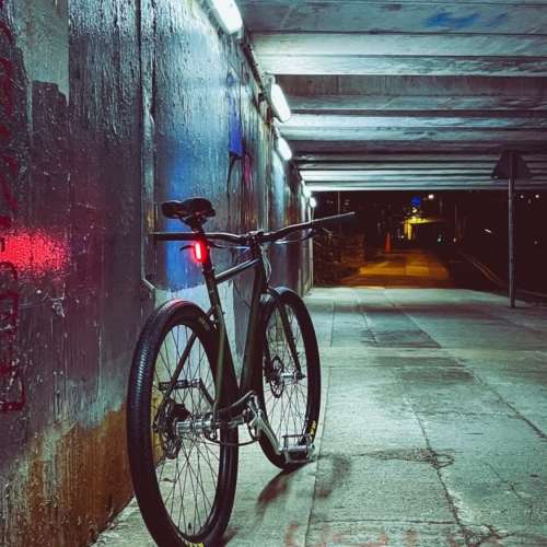 日版Tern Grit (單速車 not fixed gear)