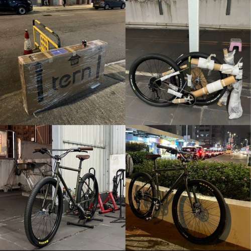 日版Tern Grit (單速車 not fixed gear)