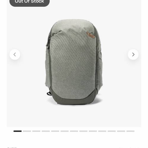 peak design TRAVEL BACKPACK 30L綠色