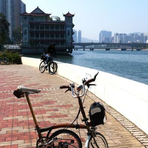 Brompton 清漆小布~M把6速~