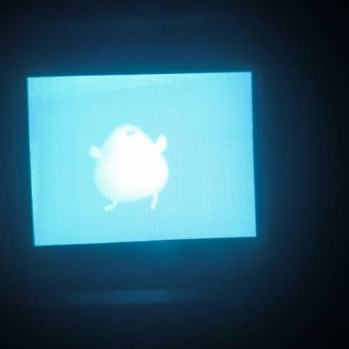 pvs 31 夜視儀 nvg