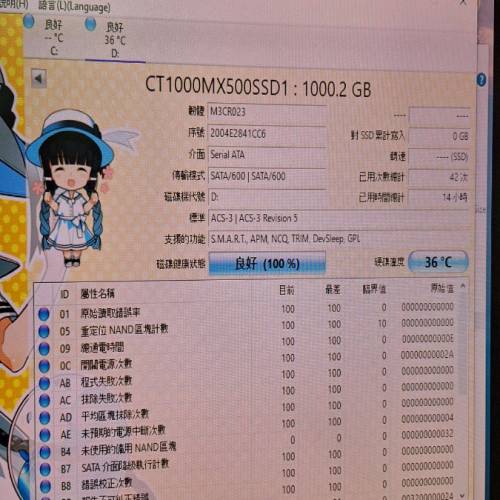 全新Crucial MX500 1TB