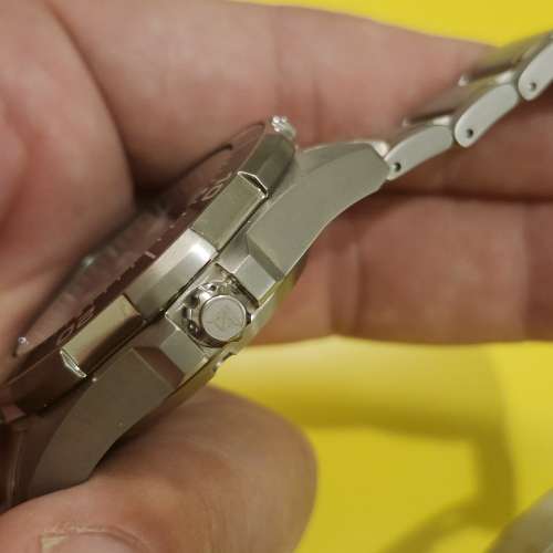 (星辰)  Promaster Marine 系列超級鈦潛水錶，型號為 NY0071-81E