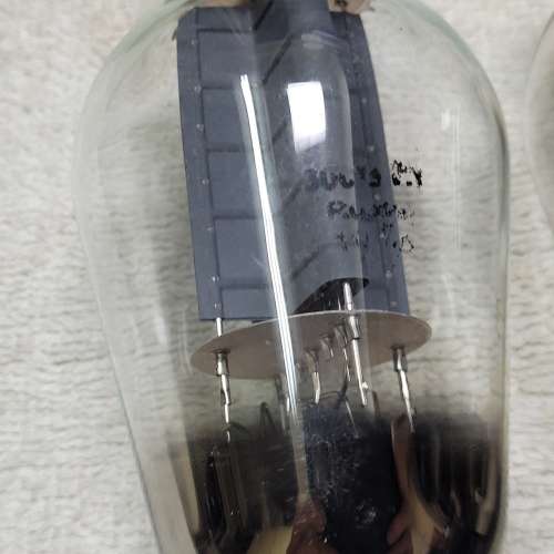 300B 膽