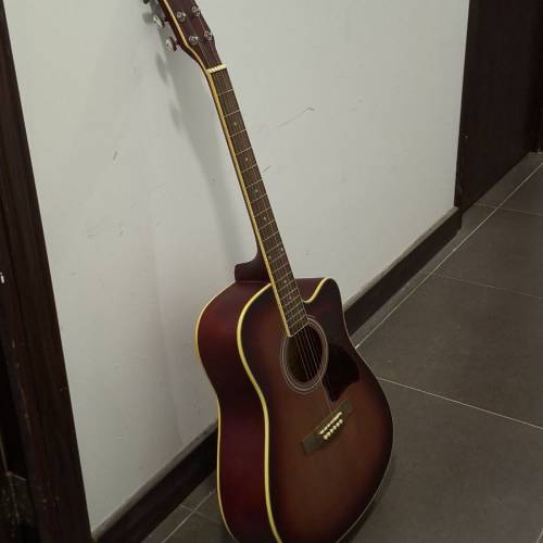 Chard guitar