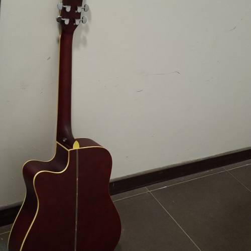 Chard guitar
