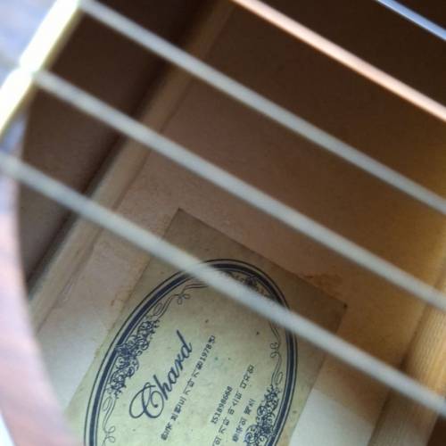 Chard guitar