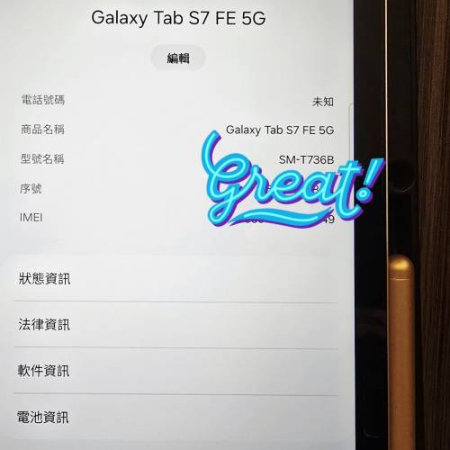 Samsung Galaxy Tab S7 FE 5G 平板電腦