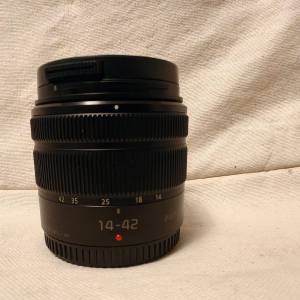 Panasonic Lumix 14-42mm f3.5 -5.6