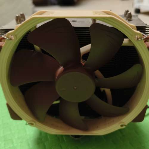 Noctua 貓頭鷹6管塔散