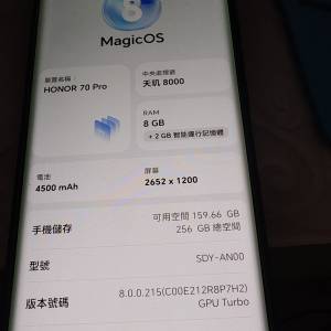 Honor 荣耀70 Pro 8+2GB 256GB 99% new