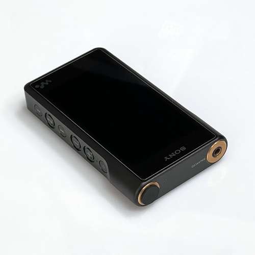 Sony WM1A 黑磚1 + UE Live Custom IEM + Dignis 黑色皮套 +  Vannuys
