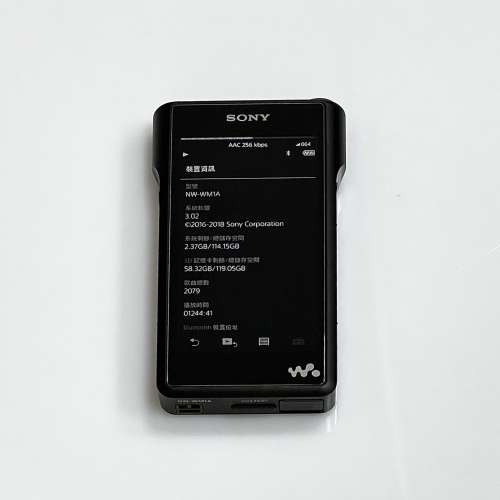 Sony WM1A 黑磚1 + UE Live Custom IEM + Dignis 黑色皮套 +  Vannuys
