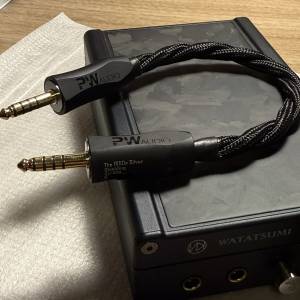 pw audio 1950 silver jumper