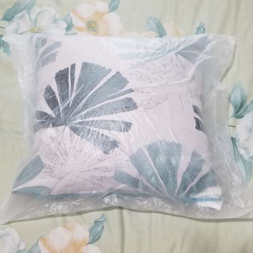 型格咕臣 cushion