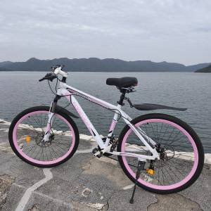 Forever 單車