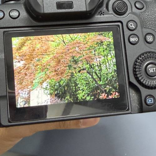 0花 極新 好小用 100%正常 深水埗取 任試 Canon EOS R6 Mark II Body (淨機身)