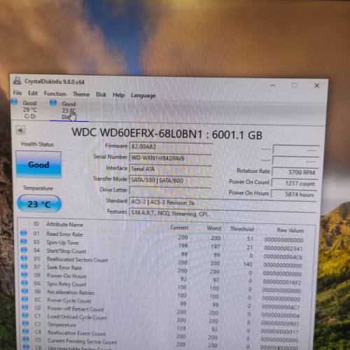 WD 6T 硬盤