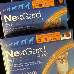 促銷近期Nexgard Spectra 2️⃣-3️⃣.5️⃣kg