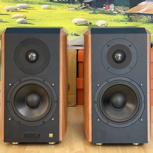 Edifier S1000W