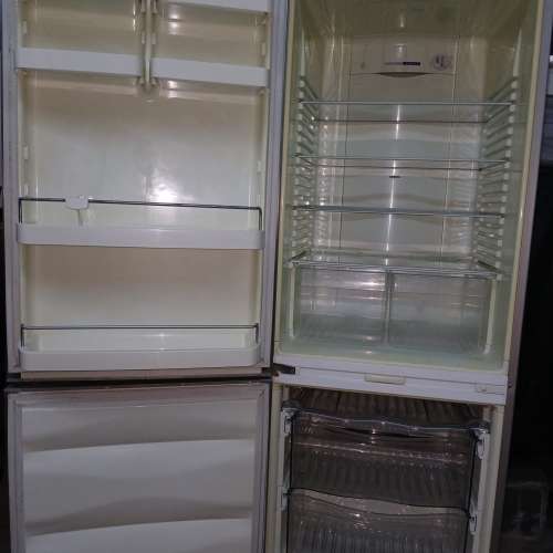 新西蘭Fisher and Paykel 飛魚牌大容量雪櫃