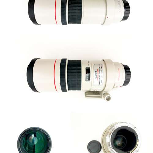 Canon EF 300mm f/4L USM Lens (極極極新)
