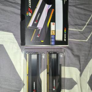 交換一對 (無RGB) DDR5 32GBx2 6000/6400或以上