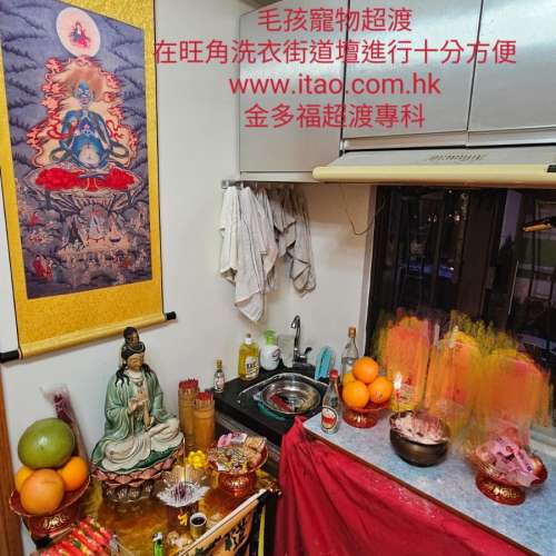 在香港找寵物超度法事超渡毛孩法會