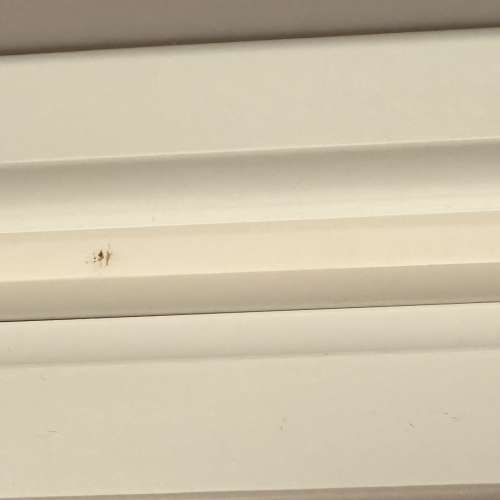 Apple Pencil 2 行貨 90%新 操作和功能全正常 已換上全新原廠筆頭 Apple專門店購入...