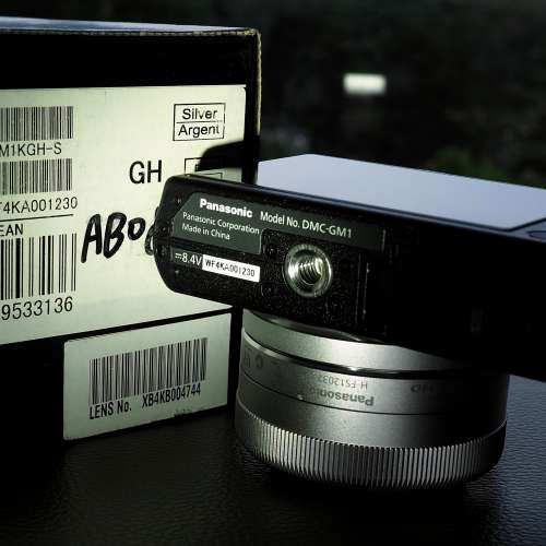 Panasonic Lumix DMC-GM1 連鏡頭