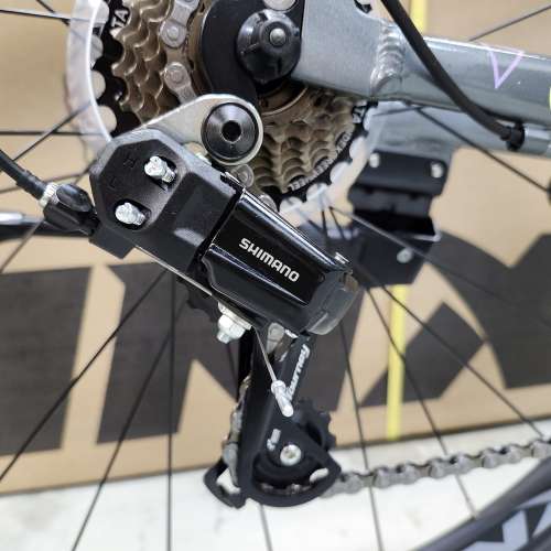 TRINX TEMPO 200 - 14速 碟剎 700C 鋁合金 公路車