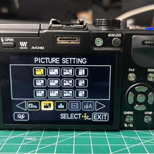 Panasonic Lumix GX1