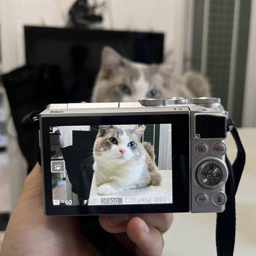 nikon 1 j5 with 10-30mm len