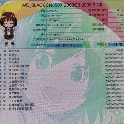 行貨WD SN850x 2Tb 有兩條