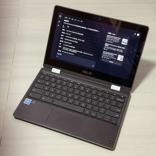 ASUS Chromebook C214M 翻轉筆電