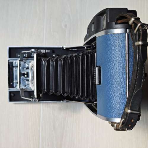 Polaroid 110A