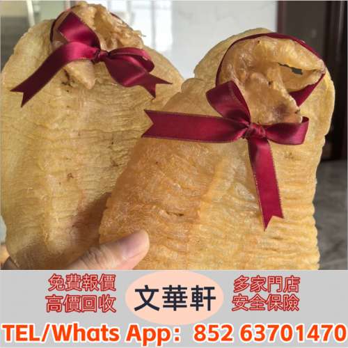 實體門市 免費上門報價：花膠，魚膠，魚肚，老花膠，陳年花膠，陽江赤嘴，北海膠，...