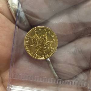加拿大楓葉金幣 1/10 OZ $4380
