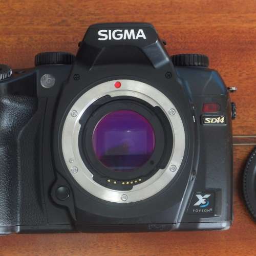 Sigma SD14 body