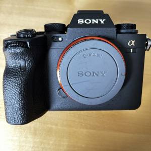 Sony 無反相機