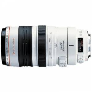 Canon EF 100-400mm f/4.5-5.6L IS USM 鏡頭
